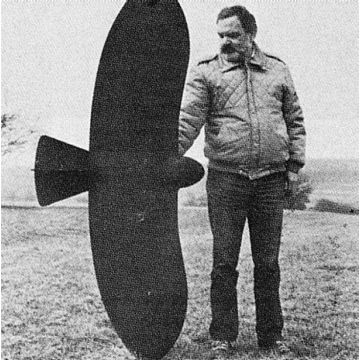 BAUPLAN RC- BUSSARD