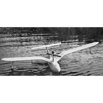 BAUPLAN SEESCHWALBE T-6