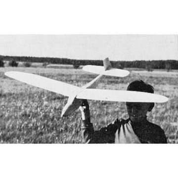 BAUPLAN BURGFALKE LO 100 ZWERGREIHER