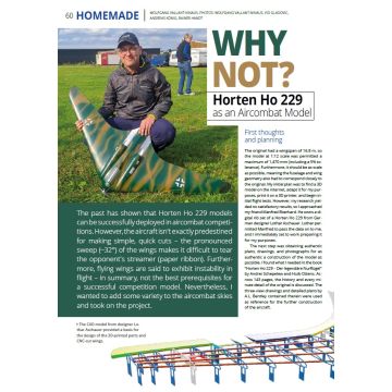 HOMEMADE: HORTEN HO 229 AS AN AIRCOMBAT MODEL